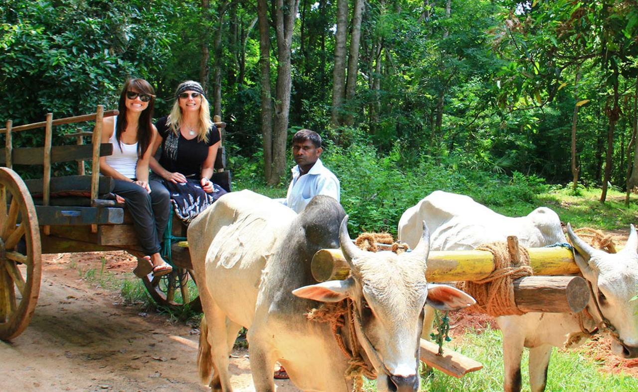 Sigiriya Sun Shine Villa ภายนอก รูปภาพ